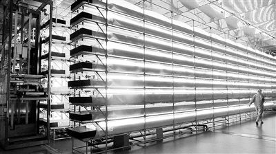 1562815122999985.jpg 台代工厂.jpg